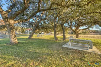 Tbd Falling Oak Lot 136 Drive, Blanco, TX 78606 - Photo 26