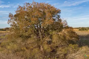 14858 Fm 1322, Luling, TX 78648 - Photo 22