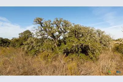 14858 Fm 1322, Luling, TX 78648 - Photo 16