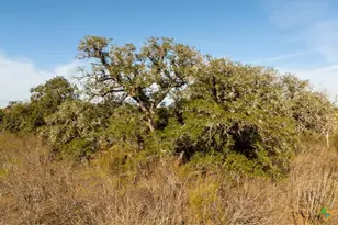 14858 Fm 1322, Luling, TX 78648 - Photo 16