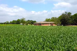 8901 FM437, Rogers, TX 76569 - Photo 8