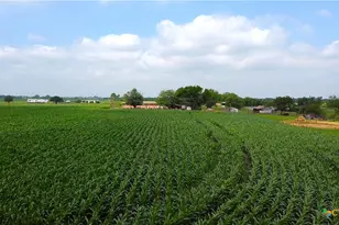 8901 FM437, Rogers, TX 76569 - Photo 6