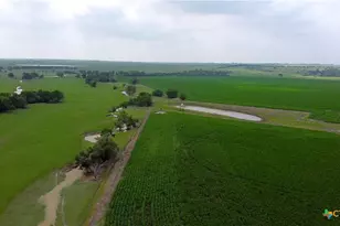 8901 FM437, Rogers, TX 76569 - Photo 4