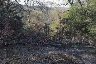 702 FM1209, Bastrop, TX 78602 - Photo 1