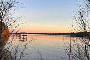 288 Forest Dr, Hemphill, TX 75948 - Photo 30