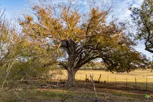 14858 Fm 1322, Luling, TX 78648 - Photo 26
