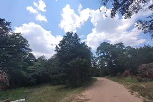 566 Herron Trail, McDade, TX 78650 - Photo 18