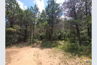 566 Herron Trail, McDade, TX 78650 - Photo 20