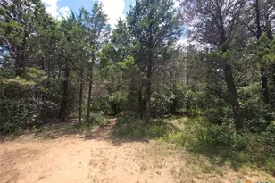 566 Herron Trail, McDade, TX 78650 - Photo 20