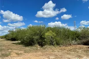 1787 FM446, Victoria, TX 77905 - Photo 4