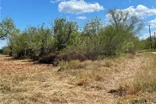 1787 FM446, Victoria, TX 77905 - Photo 6