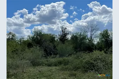1787 Fm 446, Victoria, TX 77905 - Photo 12
