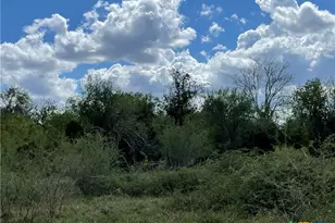 1787 FM446, Victoria, TX 77905 - Photo 12