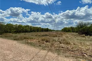 1787 FM446, Victoria, TX 77905 - Photo 8