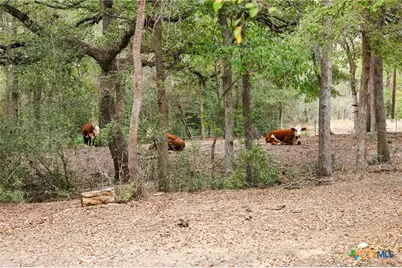 3975 Fm 3158, Dale, TX 78616 - Photo 42