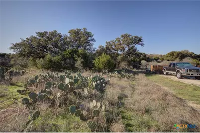 132 Maple Terrace, New Braunfels, TX 78132 - Photo 10