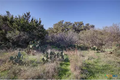 132 Maple Terrace, New Braunfels, TX 78132 - Photo 8