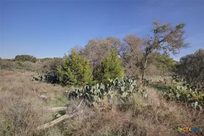 132 Maple Terrace, New Braunfels, TX 78132 - Photo 14