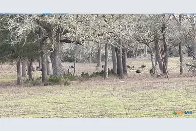 2524 Sandy Fork Road, Harwood, TX 78632 - Photo 22