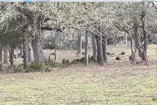 2524 Sandy Fork Rd, Harwood, TX 78632 - Photo 22