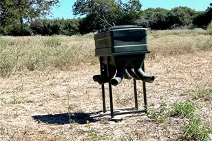 2524 Sandy Fork Rd, Harwood, TX 78632 - Photo 24