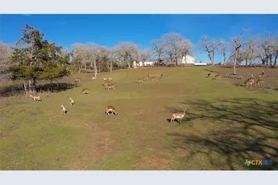 2524 Sandy Fork Road, Harwood, TX 78632 - Photo 26