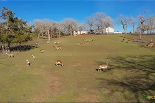 2524 Sandy Fork Rd, Harwood, TX 78632 - Photo 26