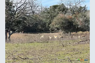 2524 Sandy Fork Road, Harwood, TX 78632 - Photo 20