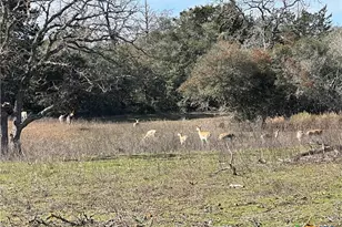 2524 Sandy Fork Rd, Harwood, TX 78632 - Photo 20