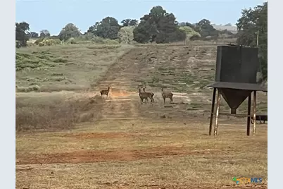 2524 Sandy Fork Road, Harwood, TX 78632 - Photo 18