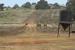 2524 Sandy Fork Rd, Harwood, TX 78632 - Photo 18