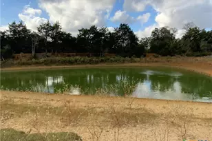 2524 Sandy Fork Rd, Harwood, TX 78632 - Photo 16