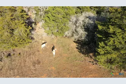 2524 Sandy Fork Road, Harwood, TX 78632 - Photo 32