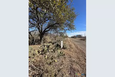 0 Tbd Cedar Drive, Granite Shoals, TX 78654 - Photo 4