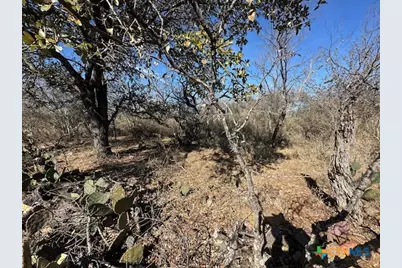 0 Tbd Cedar Drive, Granite Shoals, TX 78654 - Photo 2