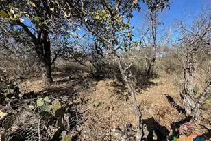 0 Tbd Cedar Dr, Granite Shoals, TX 78654 - Photo 2