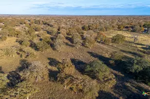 847 Littlehorn Ln, Stockdale, TX 78160 - Photo 42