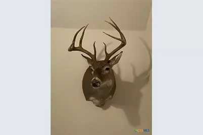 847 Littlehorn Lane, Stockdale, TX 78160 - Photo 46