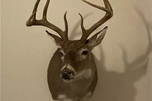 847 Littlehorn Ln, Stockdale, TX 78160 - Photo 46