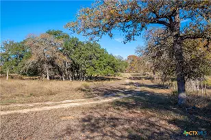 847 Littlehorn Ln, Stockdale, TX 78160 - Photo 32