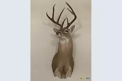 847 Littlehorn Lane, Stockdale, TX 78160 - Photo 44