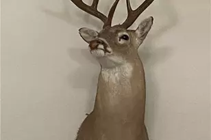 847 Littlehorn Ln, Stockdale, TX 78160 - Photo 44