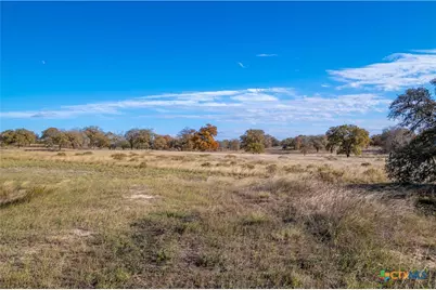 847 Littlehorn Lane, Stockdale, TX 78160 - Photo 10