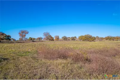 847 Littlehorn Lane, Stockdale, TX 78160 - Photo 6