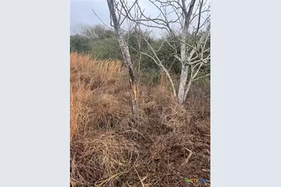 2045 Juan Antonio Road, Victoria, TX 77904 - Photo 2