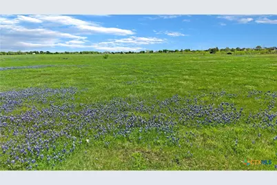 1630 Offermann Hill Road, San Marcos, TX 78666 - Photo 4