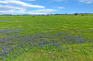 1630 Offermann Hill Rd, San Marcos, TX 78666 - Photo 4