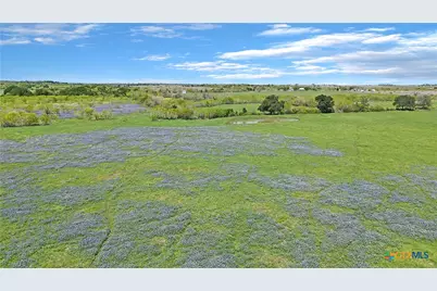 1630 Offermann Hill Road, San Marcos, TX 78666 - Photo 6