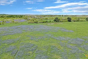 1630 Offermann Hill Rd, San Marcos, TX 78666 - Photo 6