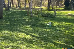 00 Buffalo Gap, Seguin, TX 78155 - Photo 14